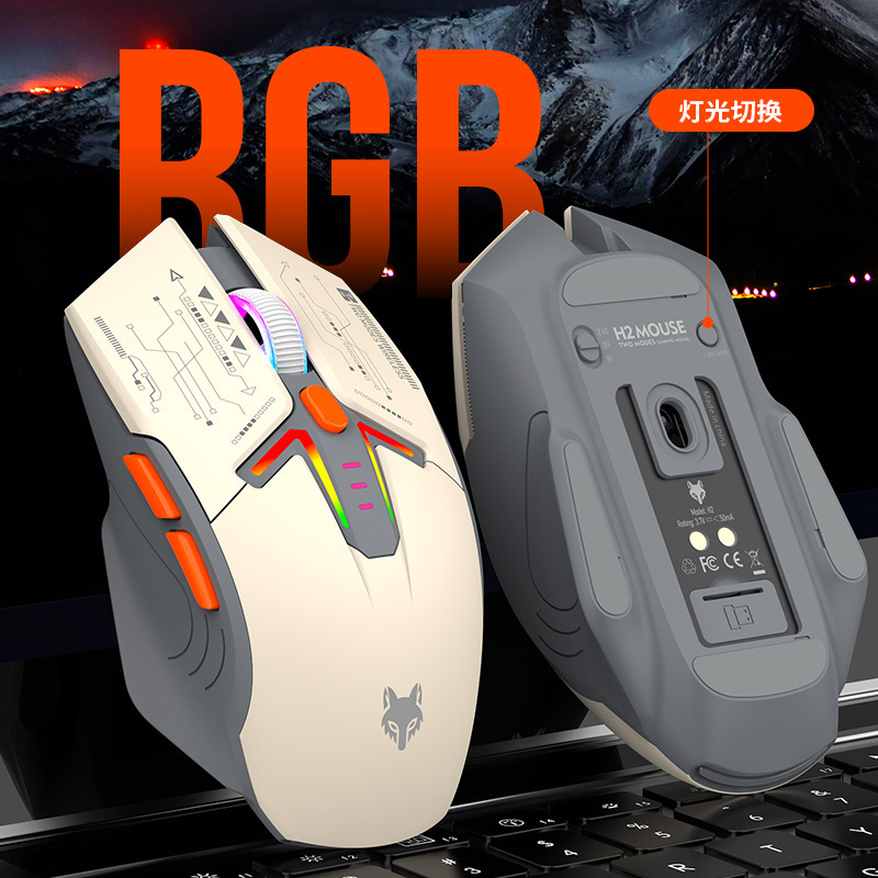 H2 charging RGB luminous mouse - Fitness Journal Planner 评论和价格