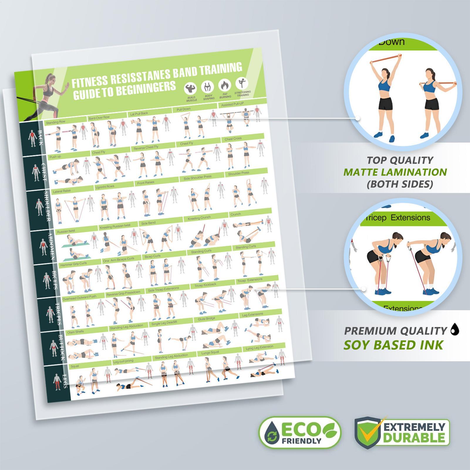 Workout Posters with Resistanc - Fitness Journal Planner 评论和价格
