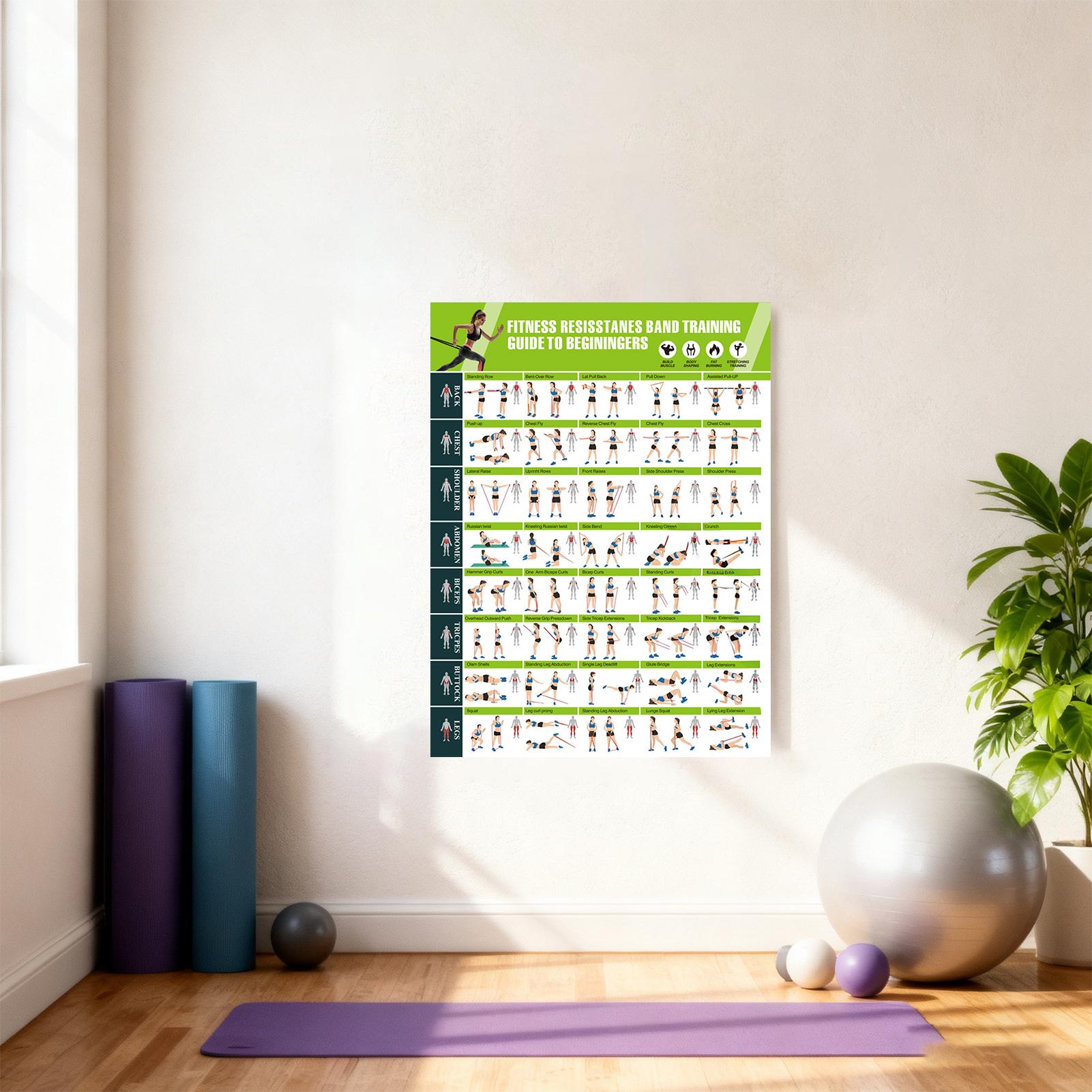 Workout Posters with Resistanc - Fitness Journal Planner 评论和价格