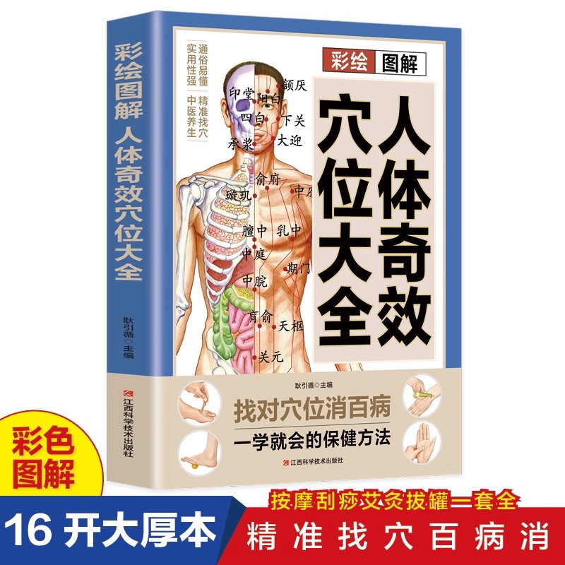 Complete Guide to Acupoint Mas - Health & Wellness Festival 评论和价格