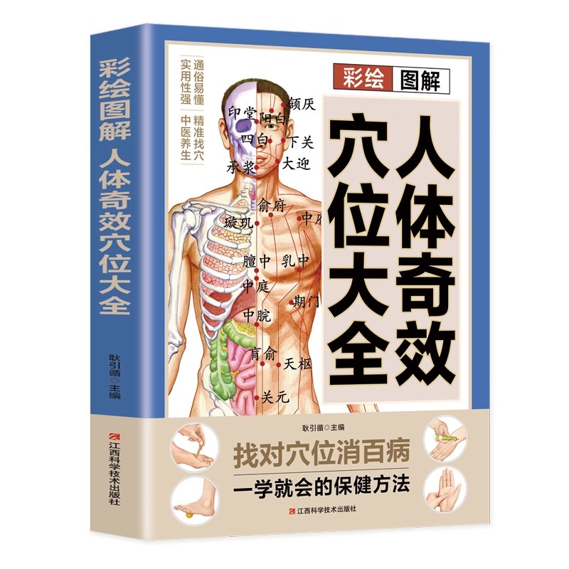 Complete Guide to Acupoint Mas - Health & Wellness Festival 评论和价格