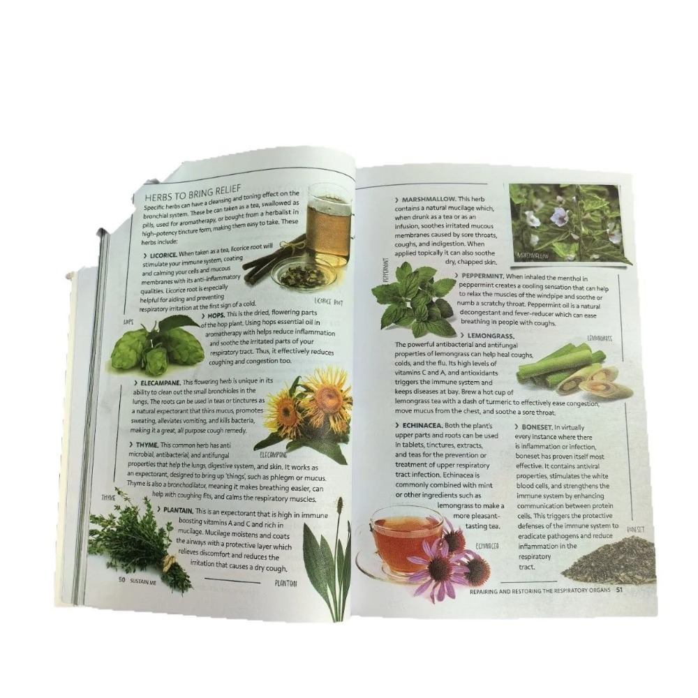 Sustain Me English Paperback b - Holistic Health & Wellness 评论和价格