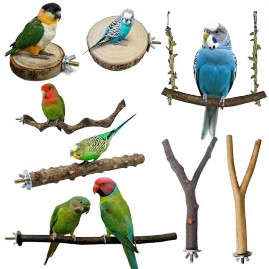 8PCS natural wood bird perches - Health & Wellness Festival 评论和价格