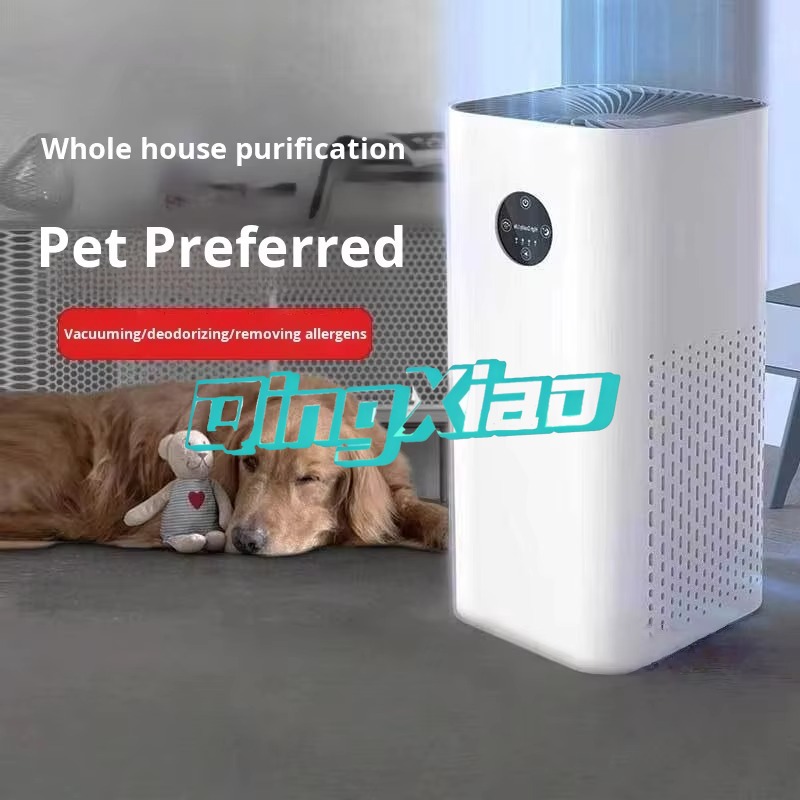 Desktop Air Purifier With Nega - Air Purifier Hepa 评论和价格